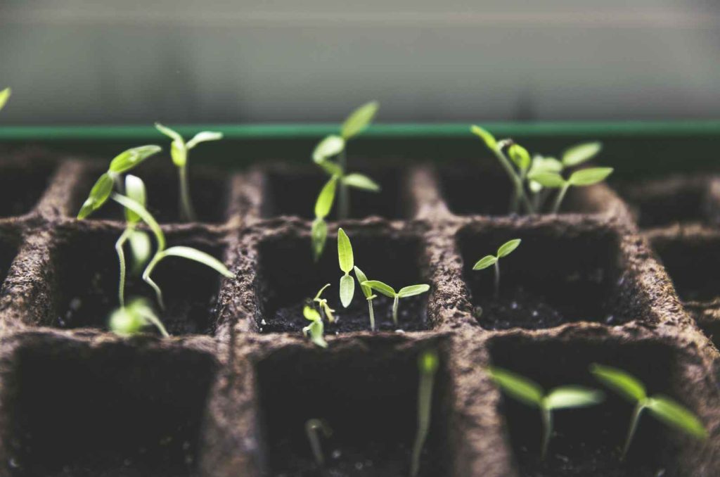 Company Specializing In Software Solutions For Plant Breeding & Variety Testing.
